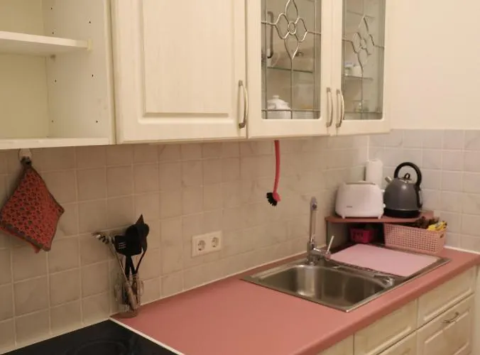 In Der Kunstgalerie شيمنيتز