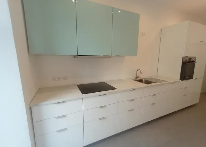 In Der Kunstgalerie * شيمنيتز